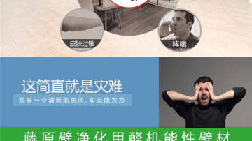 品牌硅藻泥诚招代理（日本藤原壁墙衣）大美安阳