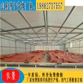 小型猪企猪粪治理 小型沼气工程使用年限