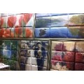 展会作品5