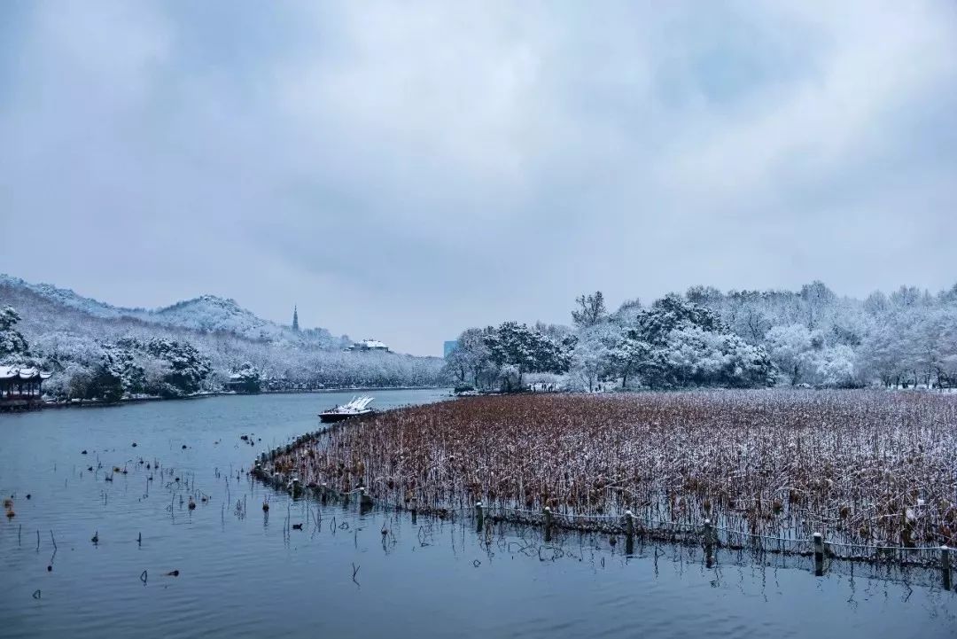 踏雪西湖+加盟考察两不误，杭州如鱼得水总部欢迎您！