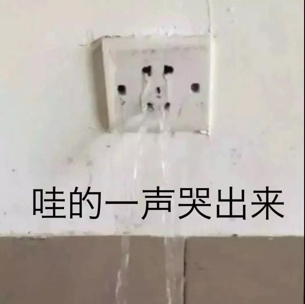 鱼粉们，分享实景图啦！看看别人家都是啥样子？