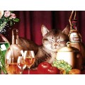 DW-016睡猫