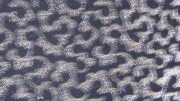 mingguan