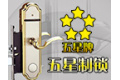 山东潍坊五星制锁有限公司