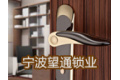 宁波望通锁业有限公司