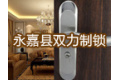 永嘉县双力制锁厂