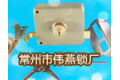 常州市伟燕锁厂