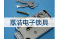 嘉兴市嘉浩电子锁具有限公司