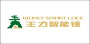 王力智能锁