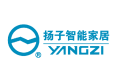 中国扬子集团有限公司