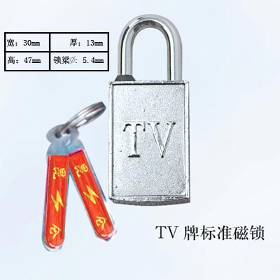 TV牌标准磁锁
