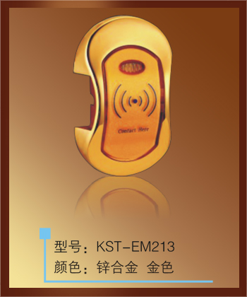 卡思特桑拿锁系列