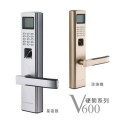 V600