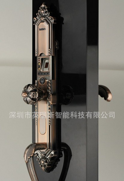 欧式经典别墅指纹锁