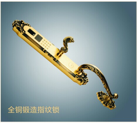 纯铜指纹锁>SF-C6F