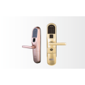 替换系列-Z101