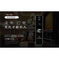顶吉T200Z-1（无孔系列）