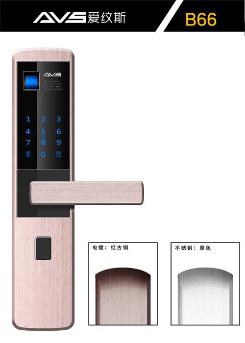 爱纹斯DP-B66