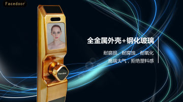 全自动人脸识别家用智能锁Facedoor