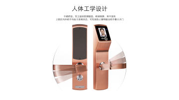 人脸识别办公家用防盗智能锁