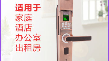 霸菱指纹密码锁ZF-15S中高端指纹锁OEM防盗门锁厂家直销质量保证