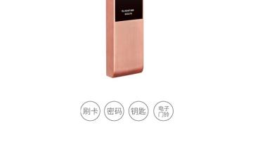 忠恒-智能锁系列P6