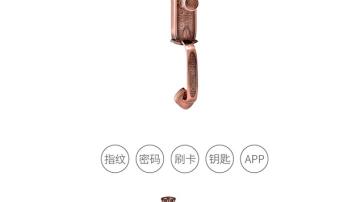 忠恒-电动锁系列P2