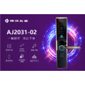 雅洁五金智能锁-AJ2031-02