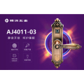 雅洁五金智能锁-AJ4011-03