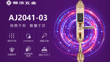 雅洁五金智能锁-AJ2041-03