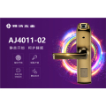 雅洁五金智能锁-AJ4011-02