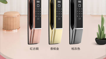 皇家金盾R20人脸识别锁