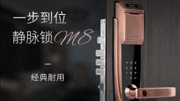 东屋世安高安全静脉锁M8