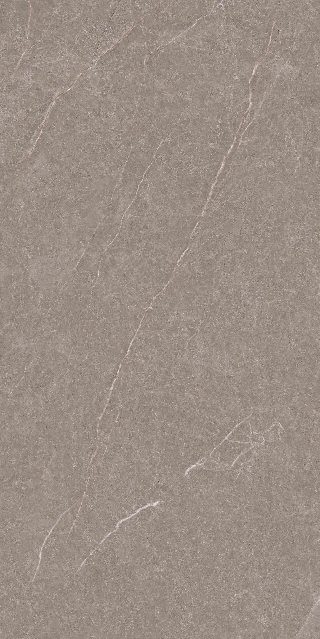 宏宇陶瓷900X1800mm 大面纹理 霸气登场