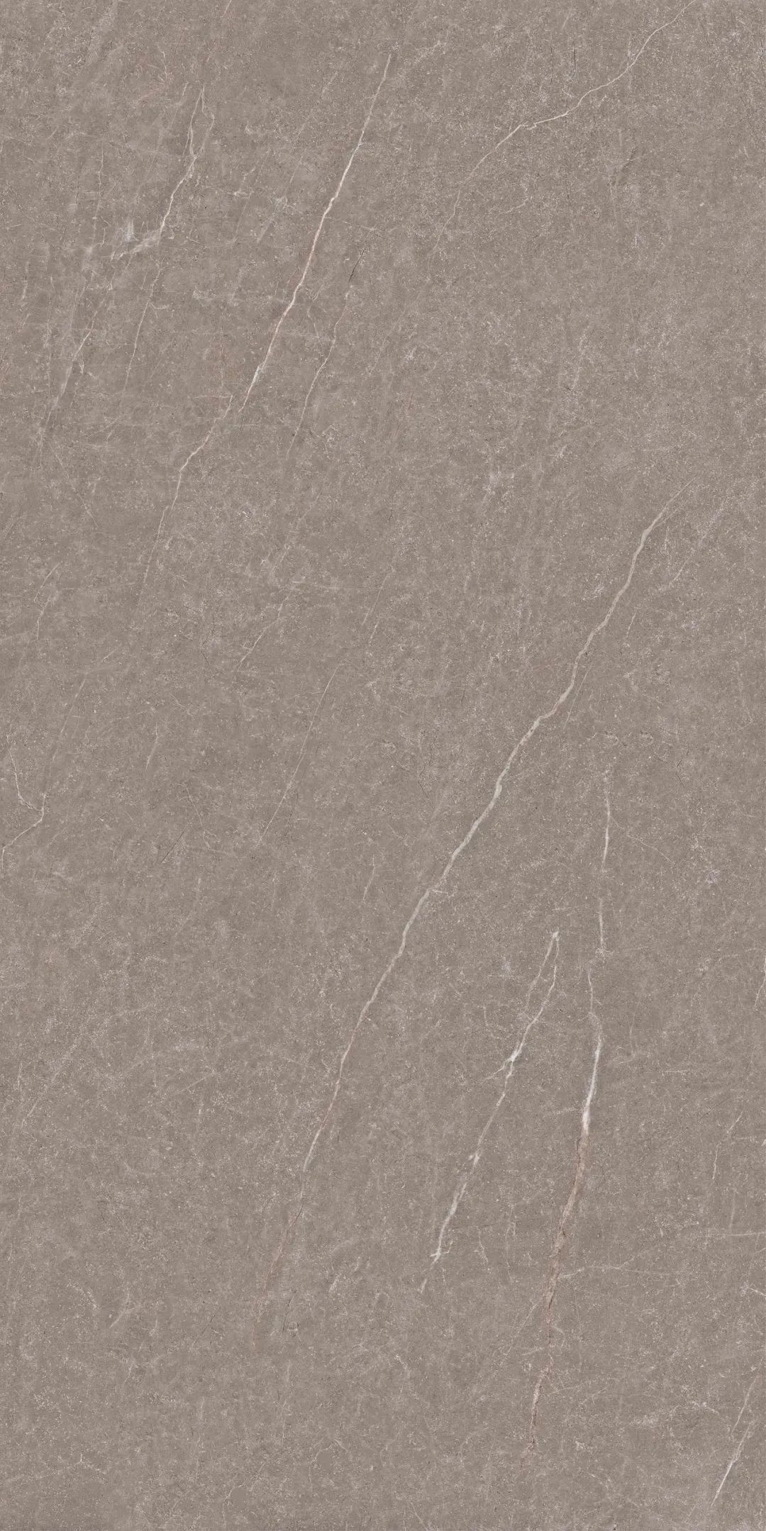 宏宇陶瓷900X1800mm 大面纹理 霸气登场