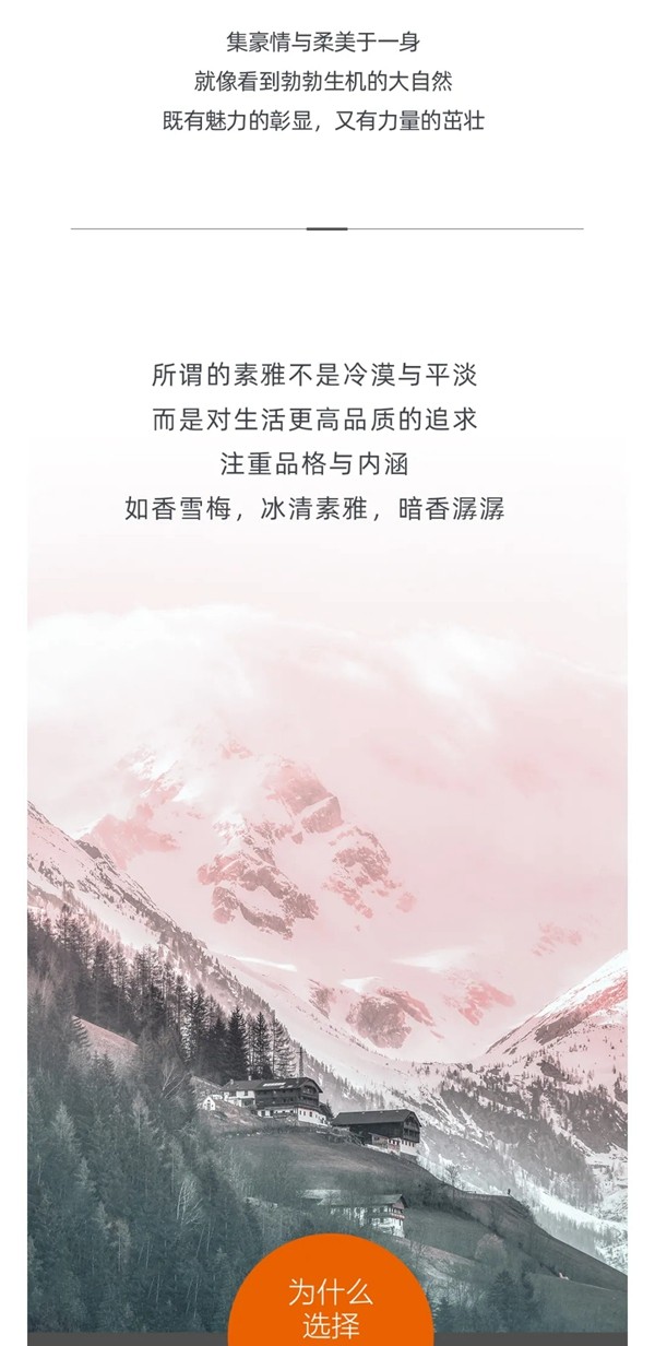 威尔斯陶瓷：颜值潮品香雪梅演绎大气国风潮流