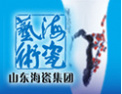 [海瓷艺术]山东省最具发展潜力民营企业