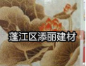 [添丽建材]用我添丽，添您美丽