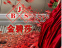[金碧莎陶瓷]金碧莎-总有一种经典