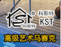 [科斯特马赛克]舞动激情，享受人生