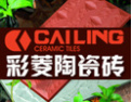 [彩菱陶瓷砖]未来目标一迈向国际舞台
