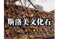 晋江市斯洛美贸易有限责任公司