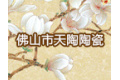 佛山市天陶陶瓷有限公司