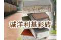 开封诚洋利基彩砖有限公司