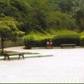 计创建材产品推荐-步行街砖系列2