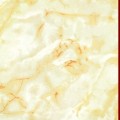 龙生隆陶瓷产品推荐-抛釉砖1