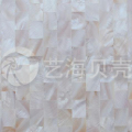 贝斯兰帝陶瓷产品推荐-DZ2025MC