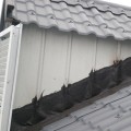 欧美鑫建材产品推荐-合成树脂瓦工程图例 4