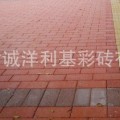 利基彩砖产品推荐-彩砖IMG_0120