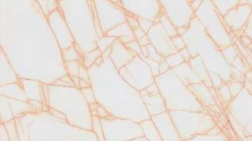 嘉俊陶瓷-皇室御品JW-21(红蜘蛛)瓷砖